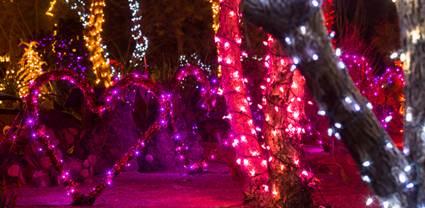 Awww...Lovers' Lane. <3 <a href="/EthelMChocolate/">Ethel M® Chocolates</a> lights back up for #ValentinesDay.  See details at bit.ly/valchoc