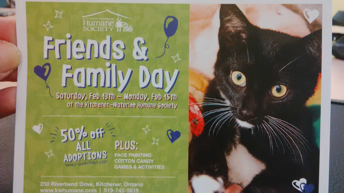 Friends &amp; Family Day: face painting, games, cotton candy and fur-friends at 50% off the adoption fee!@kwhumane