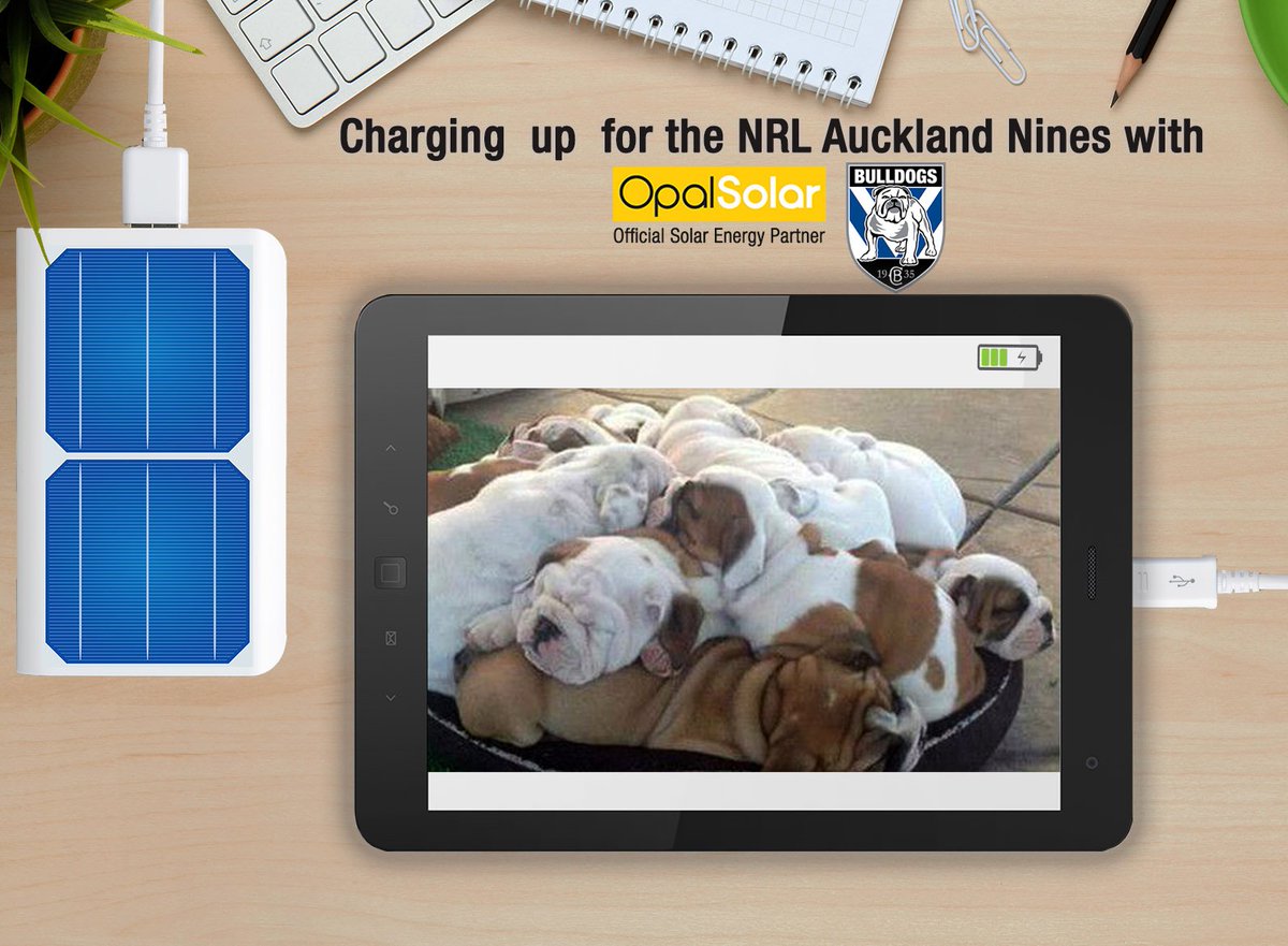 OpalSolar's tweet image. The Bulldogs are charging up and getting ready for the NRL Auckland Nines! @NRL_Bulldogs