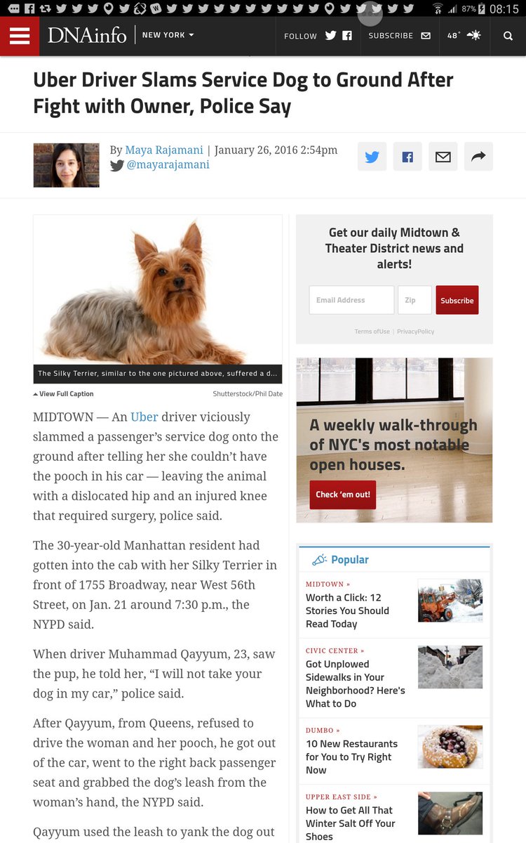 uberoutrage's tweet image. @ReggieVaitz #animalcruelty #uberthug