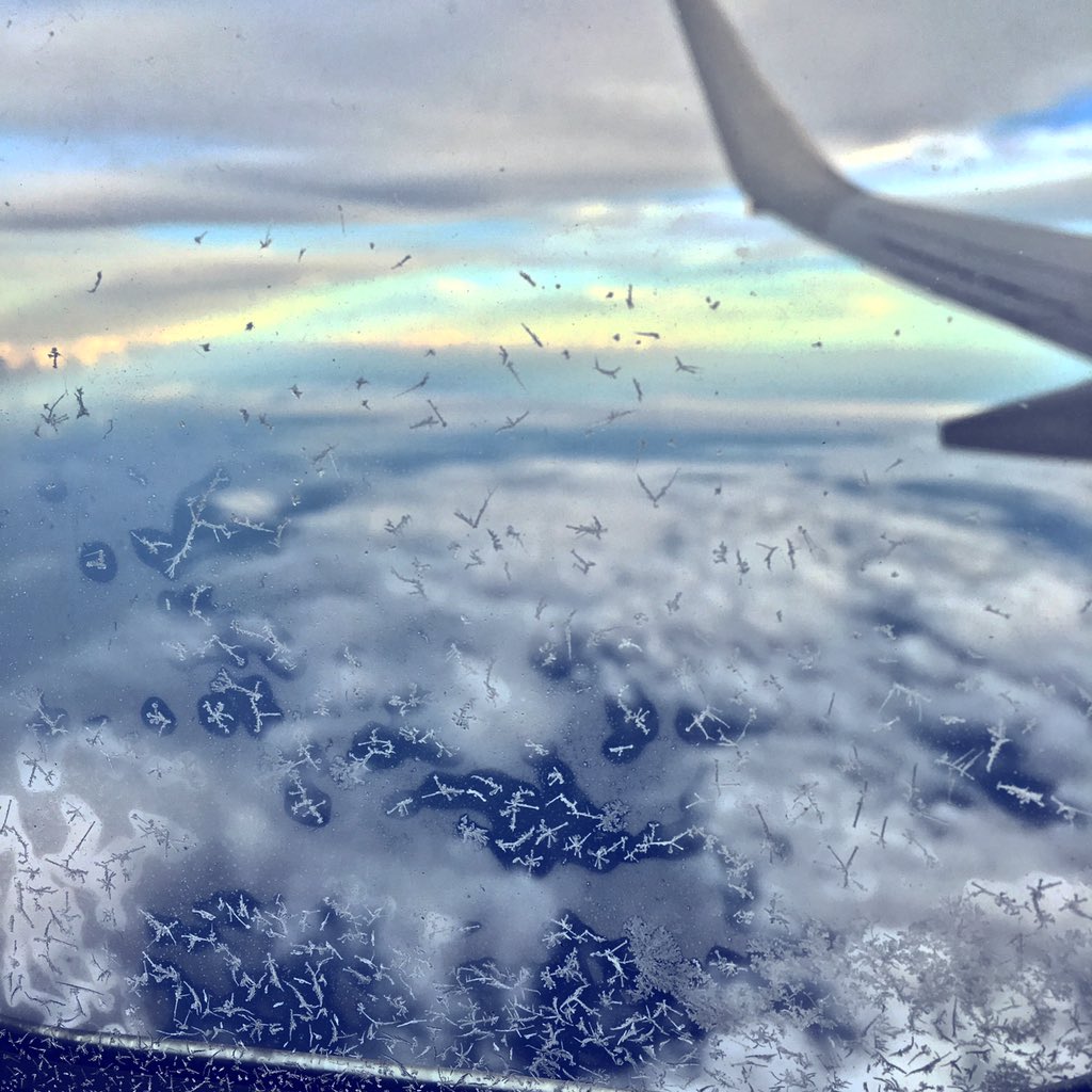 miakhalifa's tweet photo. Can I take ya, take ya higher
Gonna take ya for a ride on a big jet plane https://t.co/m4QrXqNGDD