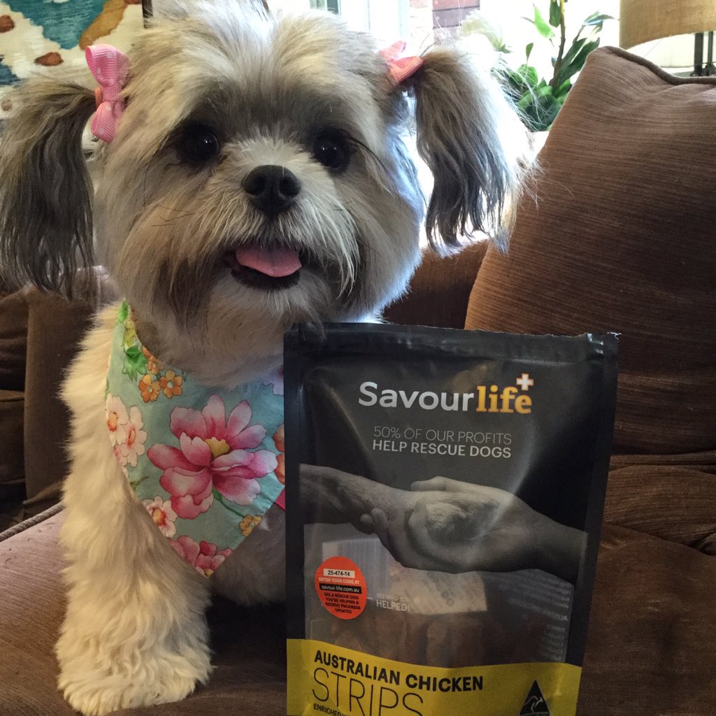 AmberNadinic's tweet photo. Scored a packet of yummy @Savour_Life treats! They donate 50% of their profits to help rescue dogs in need, awesome! https://t.co/KfPk3BJ9Lh