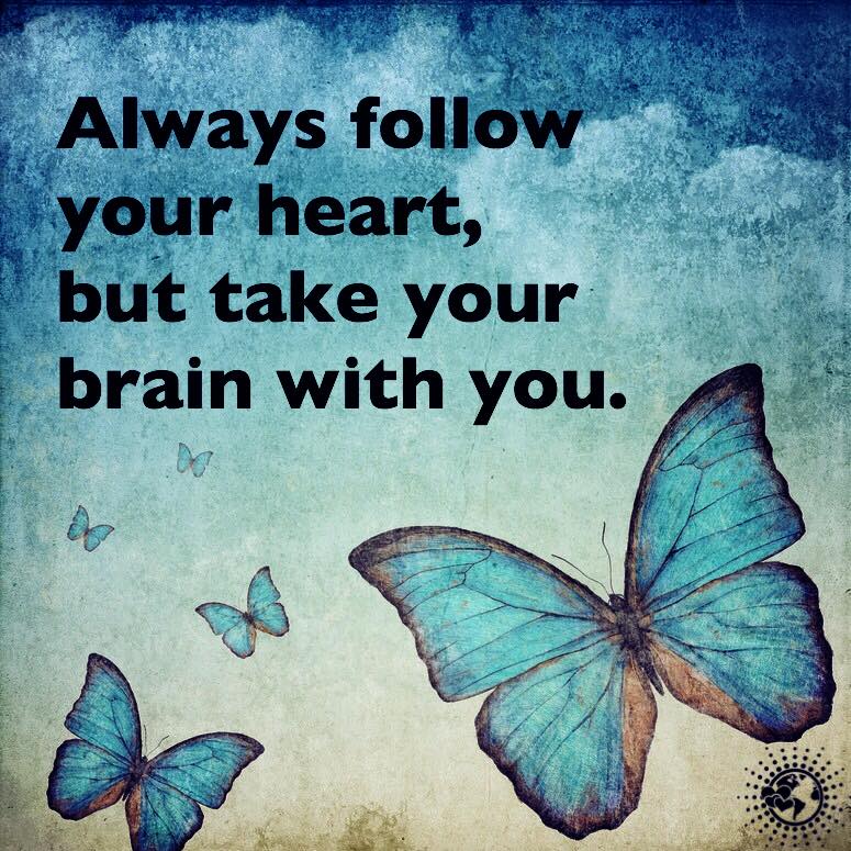 Always follow your heart, but take your brain with you. | Kristen Butler ツ  | Scoopnest