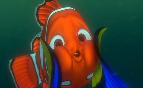 cameronasdisney's tweet photo. https://t.co/Nioevv1GKo