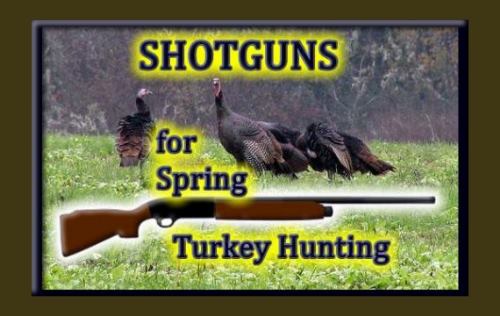redneckknowhow's tweet image. #turkeyhunting #springturkeyhunting #turkeyshotgun #wildturkey #hunting bit.ly/1ZRDdCH