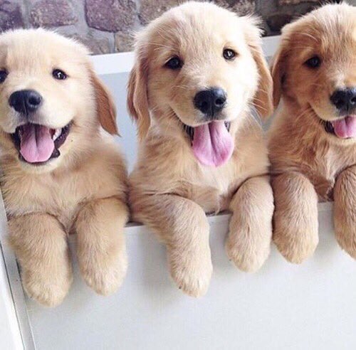ChiIIVlbes's tweet photo. Dear future husband, be ready. https://t.co/gHfgd4ekjg