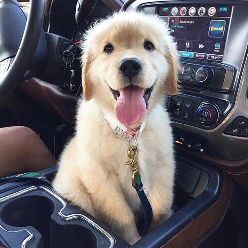 ChiIIVlbes's tweet photo. Dear future husband, be ready. https://t.co/gHfgd4ekjg