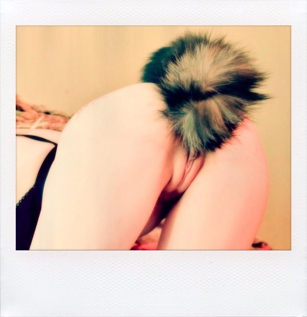 BackdoorD's tweet photo. A small collection of tails to share with you
#foxtail #petplay #kittenplay https://t.co/878uWARpIM