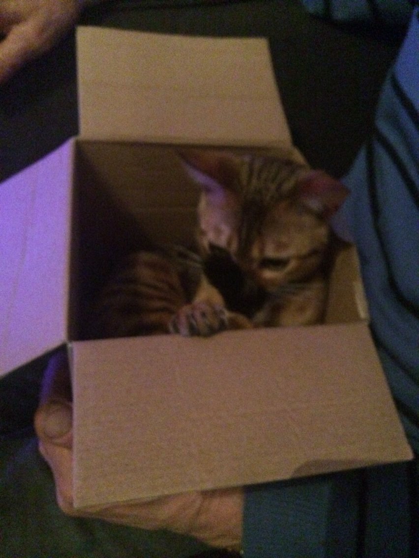 Sukis_Diary's tweet photo. I 💙 box! https://t.co/0d7V7Mea6D