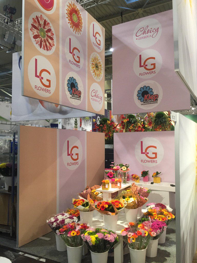 Ook vandaag bent u van welkom in hal 1 stand 1.13 samen met <a href="/joycelansbergen/">joycelansbergen</a> en <a href="/Kiepflower/">Kiepflower</a> #chrysanten #gerbera