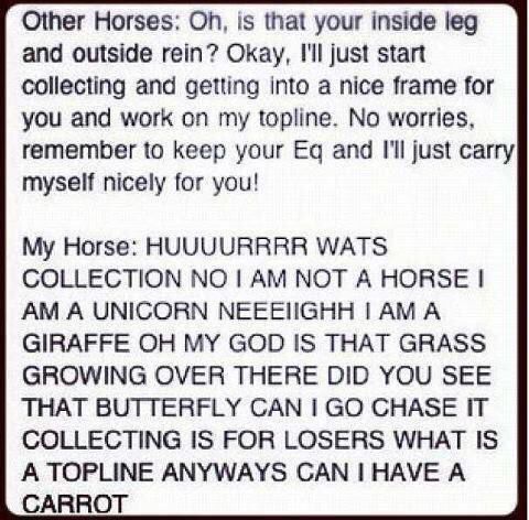 IHSA ponies in a nutshell...