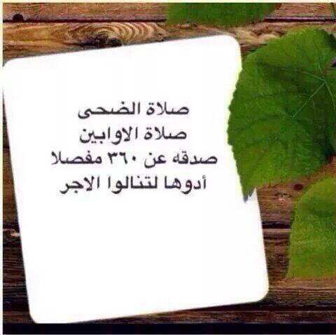 ابومجاهد (@abumjahed2) on Twitter photo 