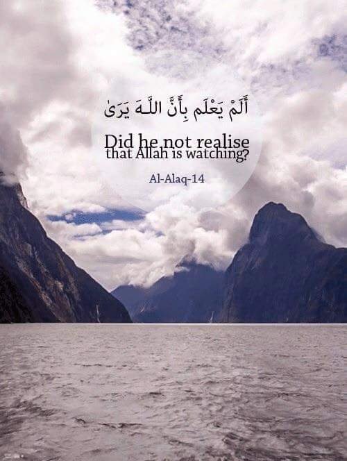 ModestMujahida tweet picture