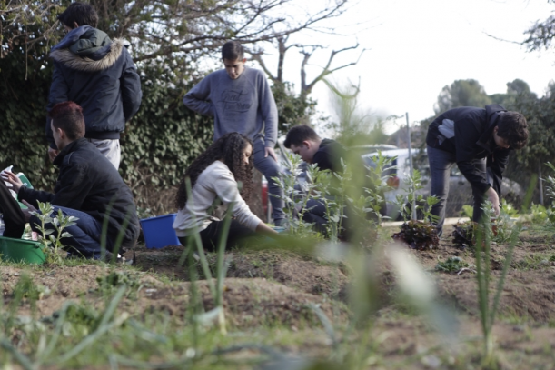 totsantcugat's tweet photo. VÍDEO: Alumnes de l'Arnau Cadell creen i exploten un hort ecològic https://t.co/V7GyqU4f12 #SantCugat https://t.co/aqZ1WMfh1T