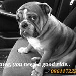 Photo by SACAB Taxi Services (@SACAB_SA)