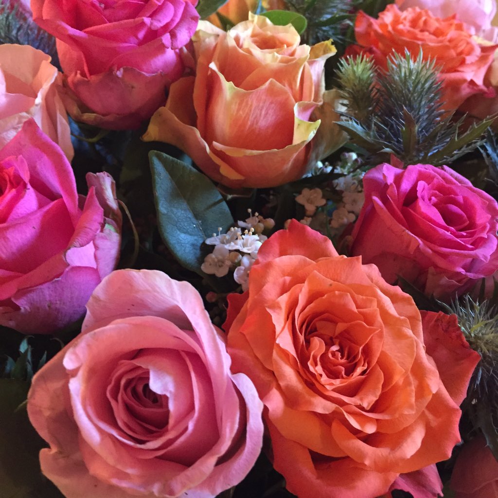 Beetje kleur op deze regenachtige dag🌸☀️#detuinvrouwen #Amsterdam #regen #rozen