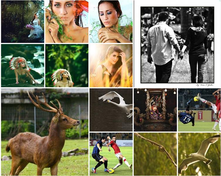 Galeri foto-foto dengan lensa Sigma 100-300mm F/4 APO EX HSM
<a href="/SigmaPhotoInd/">SigmaPhotoIndonesia</a>
Klik >> fotografer.net/galeri/thumbna…
#FN13