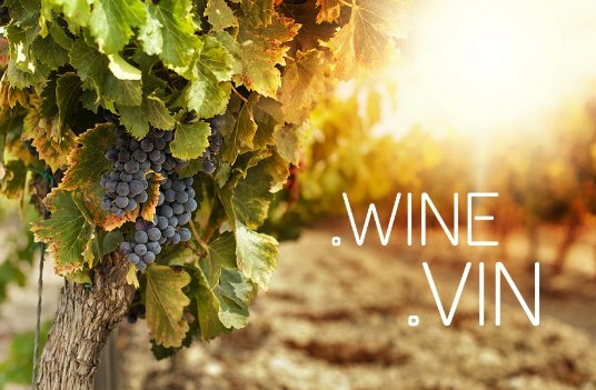 entorno_digital's tweet photo. 🍇🍇FASE LIBRE para .WINE y .VIN, enhorabuena a los amantes del vino!!🍷🍷https://t.co/OHRh6mGFrS #wine #vin @DonutsInc https://t.co/nJ3NyCiKql