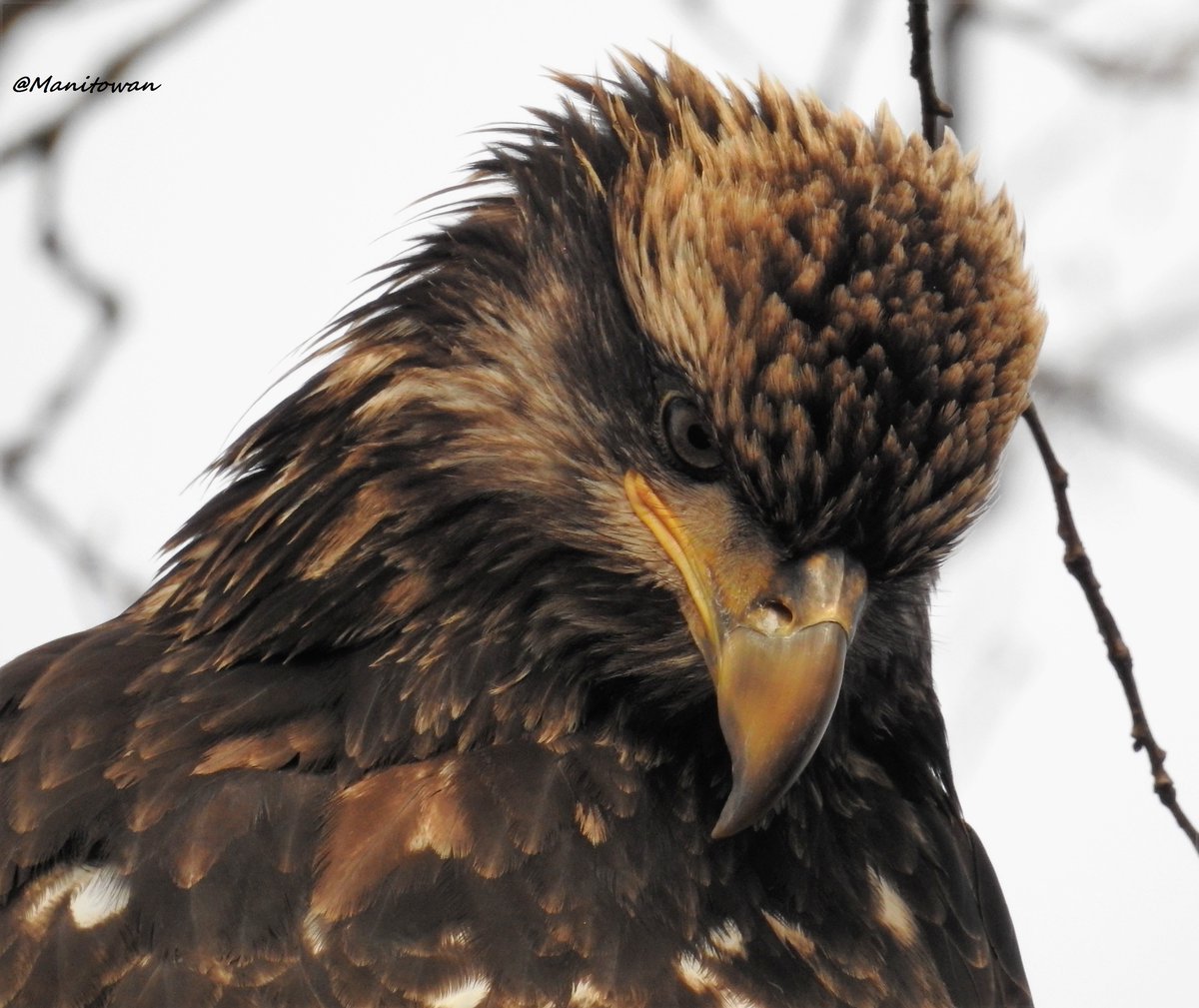 Manitowan's tweet image. #BellLetsTalk There wasn't a rock around I didn't want to hide under due to my mental illness.I ratherclimbthem now.