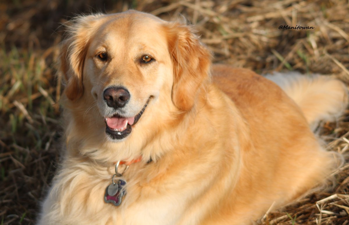Manitowan's tweet image. #BellLetsTalk There wasn't a rock around I didn't want to hide under due to my mental illness.I ratherclimbthem now.