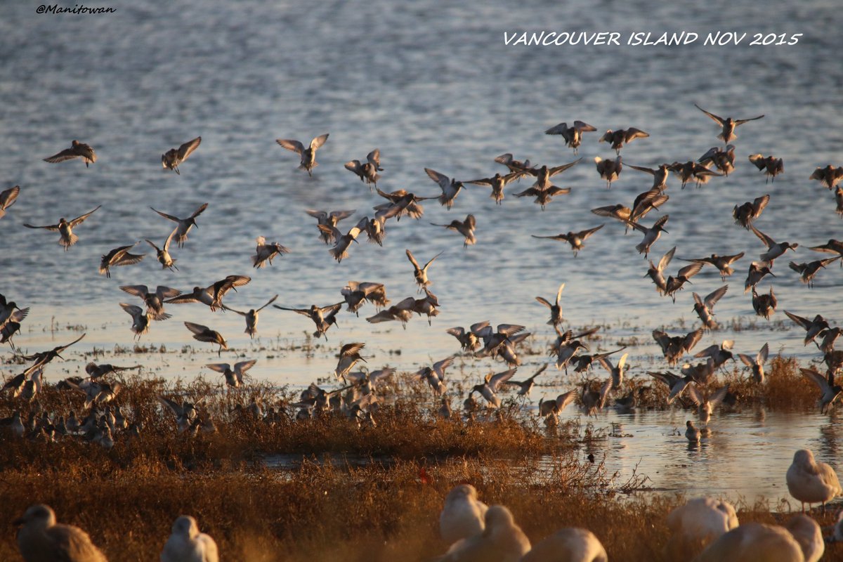 Manitowan's tweet image. #BellLetsTalk There wasn't a rock around I didn't want to hide under due to my mental illness.I ratherclimbthem now.
