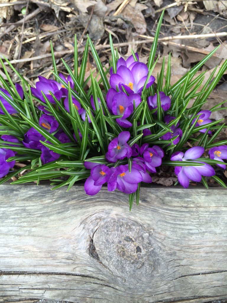 Alvadane's tweet image. #BellLetsTalk - Talking about it is a good place to start.