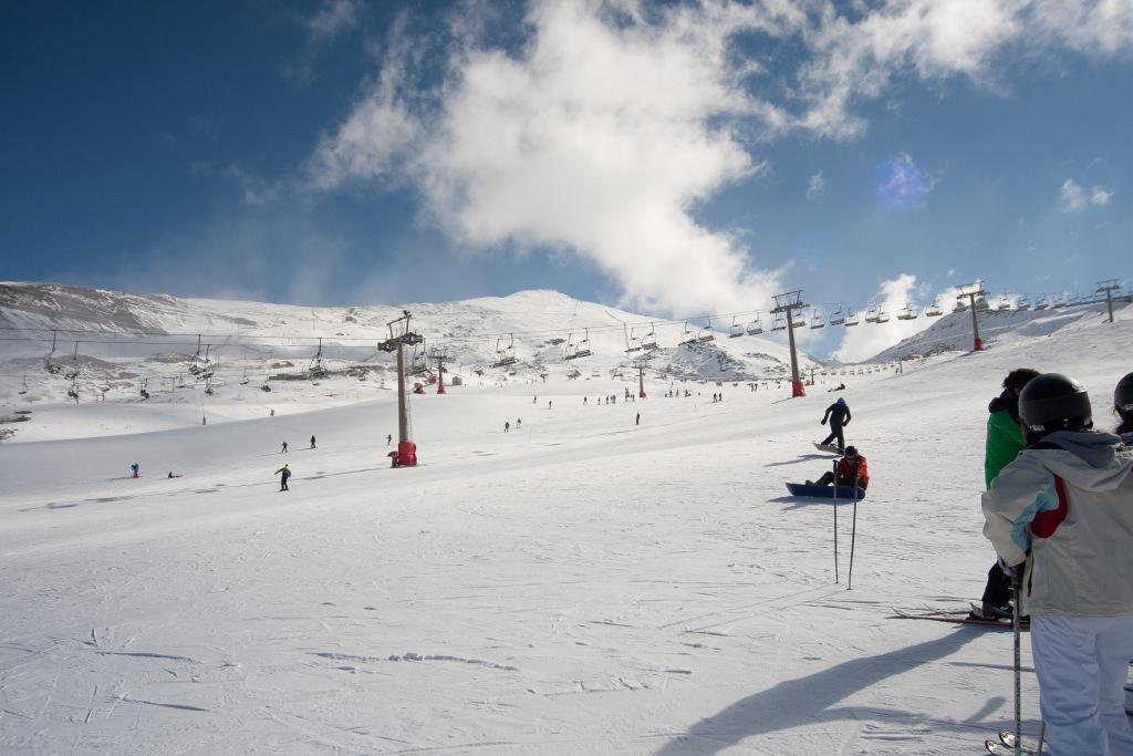 Nos dice un pajarito que hoy es uno de esos días... #SierraNevada sierranevada.es #monodenieve