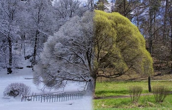 3ManAutoService's tweet image. No matter the weather, 3 Man Auto Service can make sure you're prepared! Swing by, or call, today! (803)748-0932