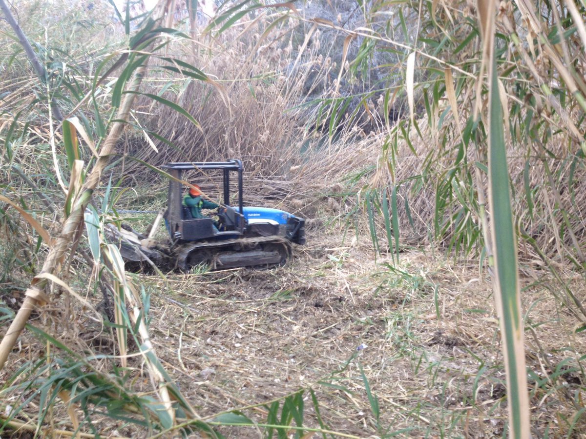 SEGURARIVERLINK's tweet photo. Empiezan los trabajos de restauración fluvial en el ámbito del @SEGURARIVERLINK @umnoticias @LaOpiCieza @EPlanONG  https://t.co/mQvF9dfSsO