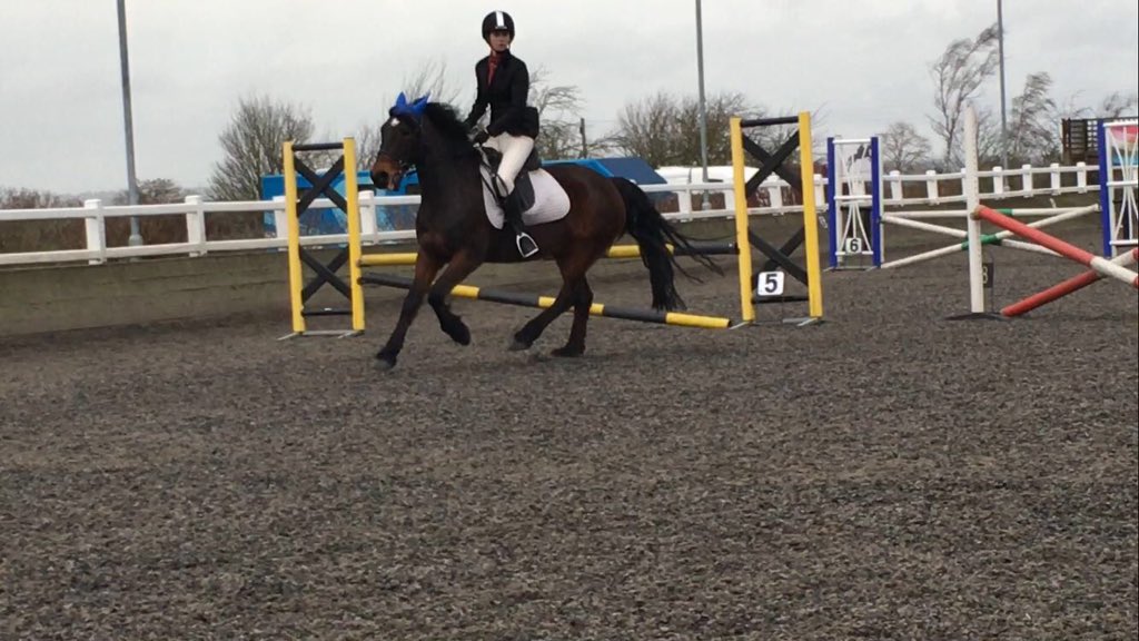SHUEquestrian's tweet image. @MariaL1994 goes clear in the first Hallam show jumping round
