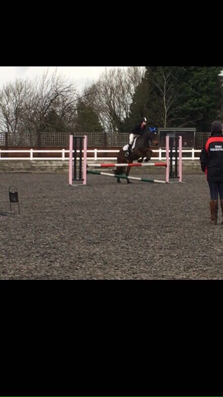 SHUEquestrian's tweet image. @MariaL1994 goes clear in the first Hallam show jumping round