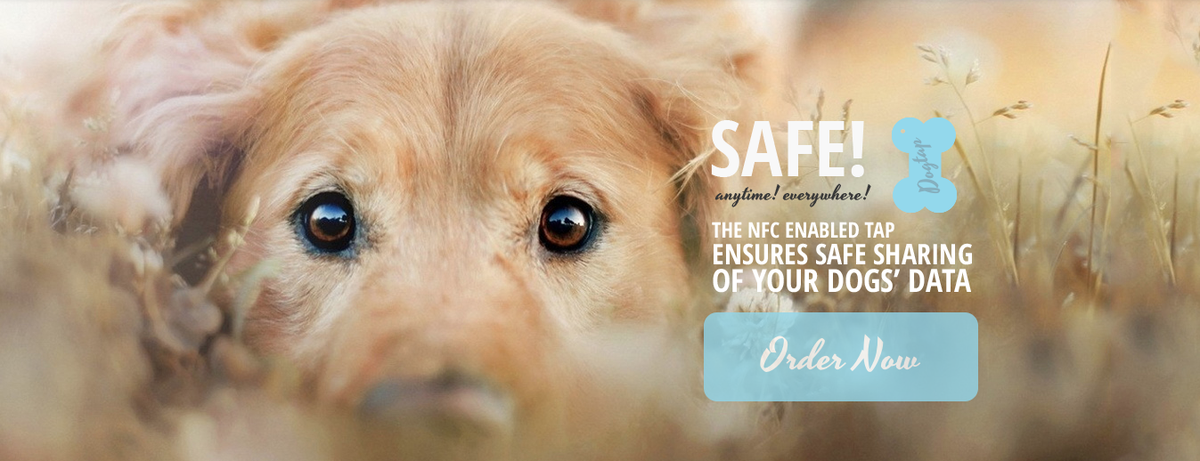 Dog_Tap's tweet photo. #dog #friends #dogtap
#secure #NFC enabled dog #personalized #id #tags 
https://t.co/QmgU77OS24 https://t.co/GFBYsx83zN