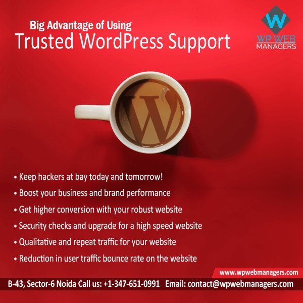 wpwebmanagers's tweet image. Let&apos;s see the biggest advantages of using trusted #WordPresssupport from #WpWebmanagers.More@http://goo.gl/Ps7g70