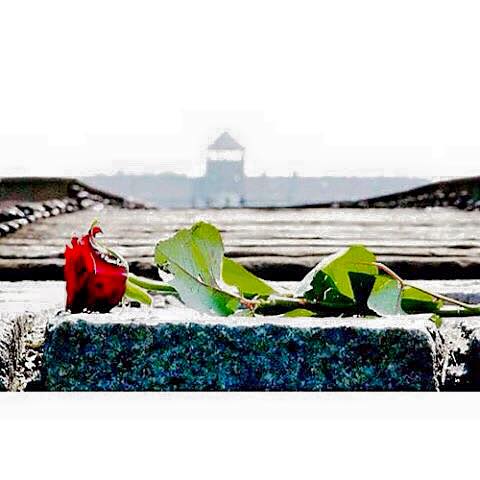 RotaryTL's tweet image. La storia è fatta dai passi dell'uomo,ricordarne le cadute serve a rimanere in piedi #giornatadellamemoria