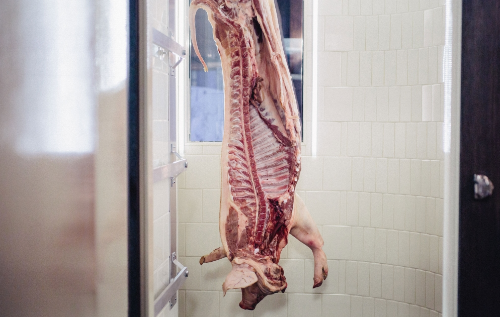 munchies's tweet photo. This is what happens when a butcher opens a pub -  @Hillandszrok  https://t.co/cmrUEovjeF https://t.co/bgGkHhPFgW
