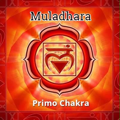 ReiDo_Olistic's tweet photo. CHAKRA https://t.co/aRaNuqg3Fg sistema chakra in generale e il primo Chakra #chakra2.0 #corsi #2016 #staytuned https://t.co/QBJbeIiIA0