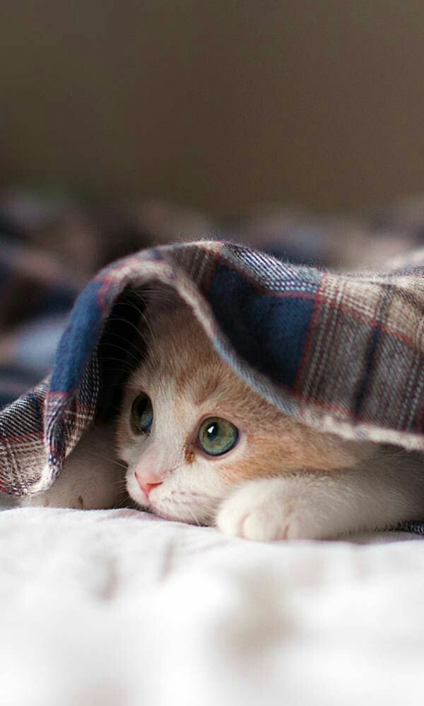 darthvette's tweet image. Go Away.....I'm not Coming Out Until the Weekend Gets Here.....

#IHATEWORK