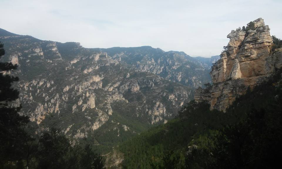 TabernaFredes's tweet image. #Fredes #TinençaDeBenifassà Conoces nuestro #parquenatural? Te enamorarás bit.ly/1NdoBJT @castellonenruta