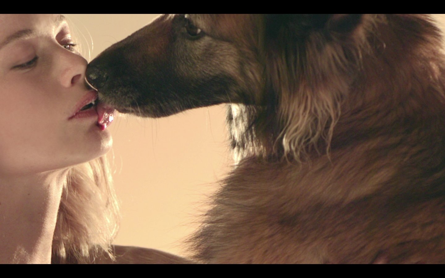 Dog_and_women chat