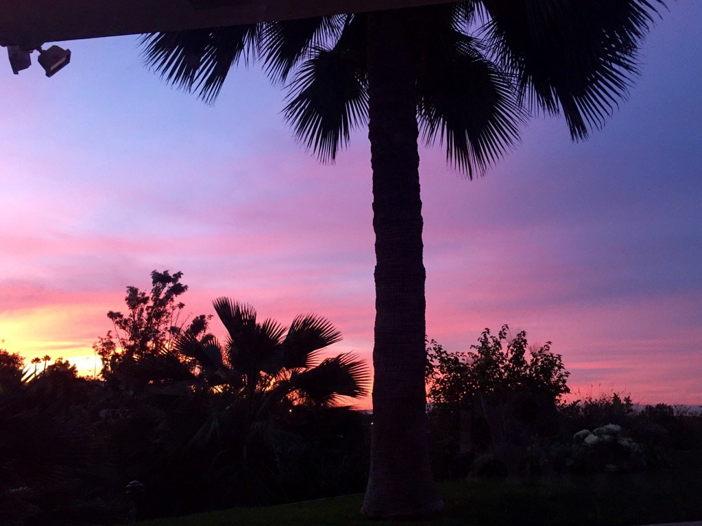 PageDaily's tweet photo. Good morning #LA #sunrise #pinksky #palmtree #beautiful #outsidemywindow #LosAngeles #California #westcoast https://t.co/PpFqetBAuv