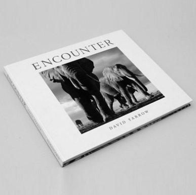 David_Yarrow's tweet photo. Giving away a signed copy "Encounter" to one of my Twitter followers. RT &amp; Follow to be in with a chance! #DYCOMP https://t.co/9zkwNc9QNh