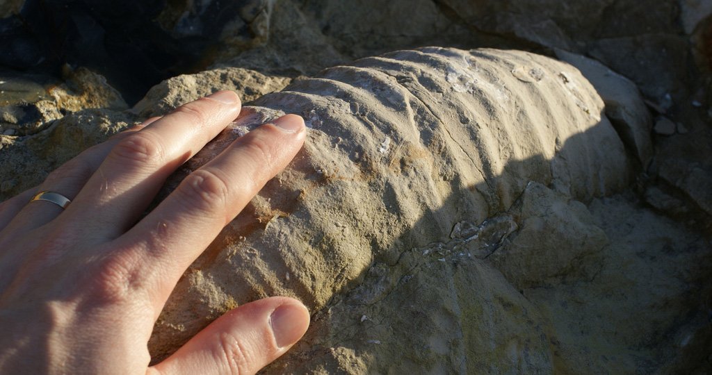 weymouth_dorset's tweet photo. Weymouth: gateway to the Jurassic Coast World Heritage Site https://t.co/DjplR3epcW