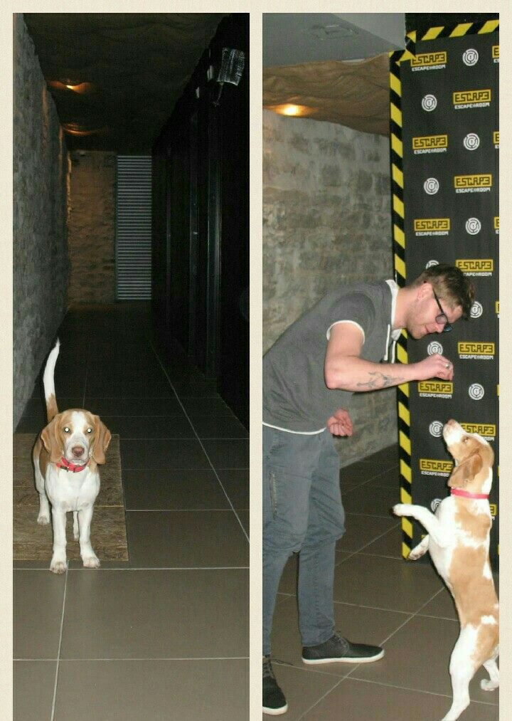 EscapeRoomEst tweet picture