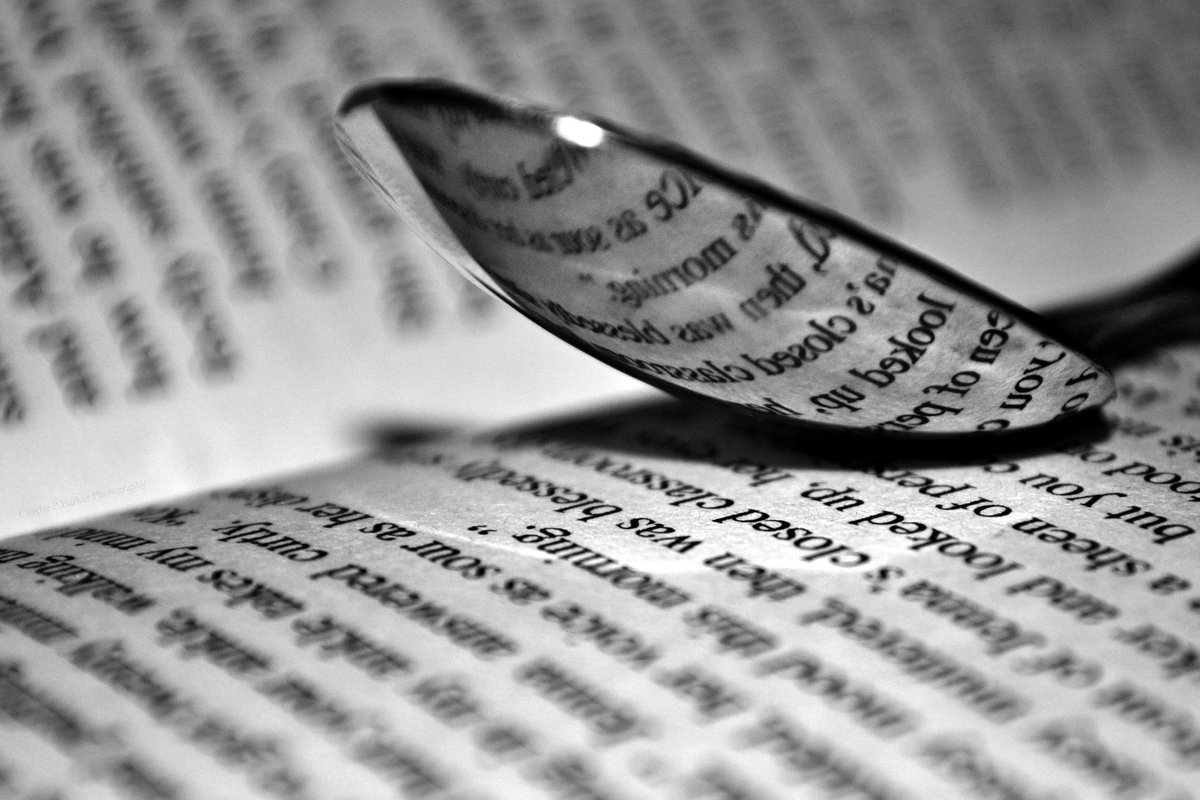 Eingebetteter Bild-Link