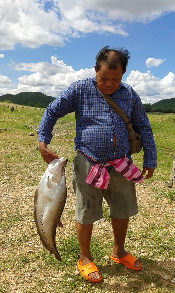 CPhuangjan's tweet photo. นี่ก้อปลาเขื่อนคับ https://t.co/n3EYkiv9uo