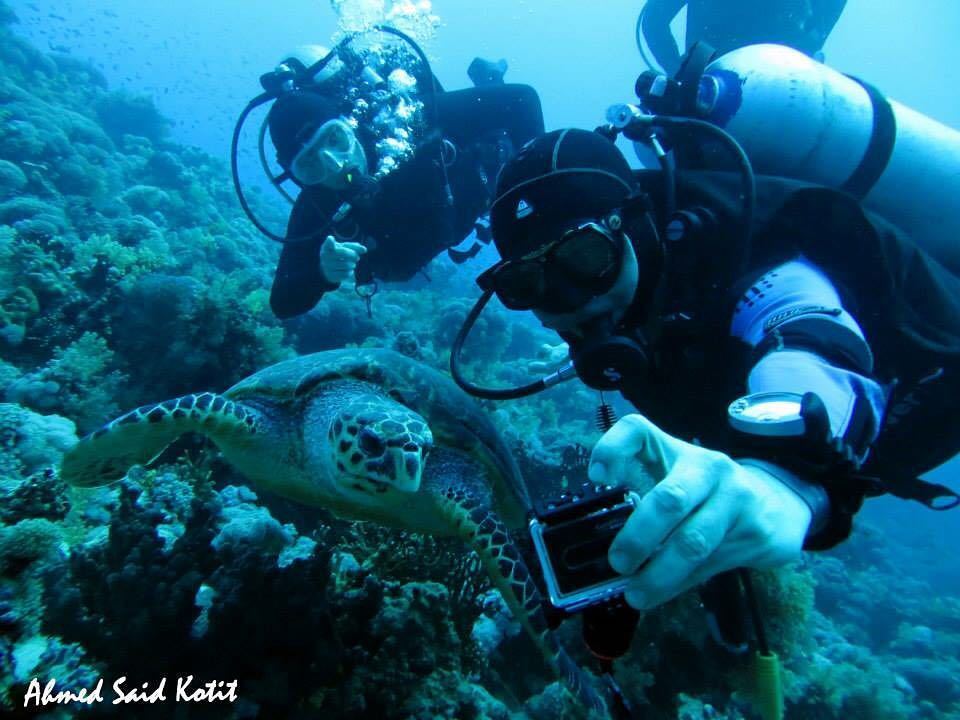 ParadiseCoveStt's tweet photo. gdc_redsea shares: Photo by: @ahmedsaidkotit , Selfiii please :D #sea #hurghada #scubadiving #redseafish #redseatur… https://t.co/DkMrFhct69
