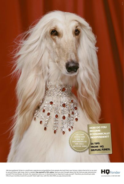 vartotojo �kelta nuotrauka