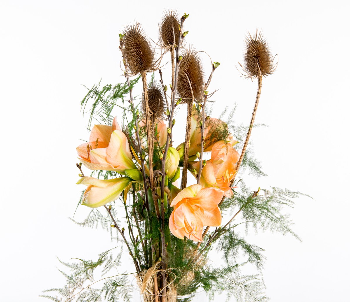 Van harte! Rob Martin Bloemen, De Oranjerie, Mimosa en De Rank laatste winnaars #Amaryllis wedstrijd @fleurametz_nl