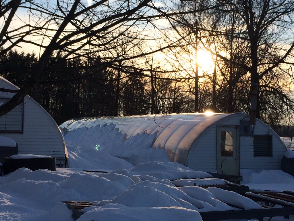 danagrows's tweet image. Clean greenhouse. Love our #Ariens snowblower.