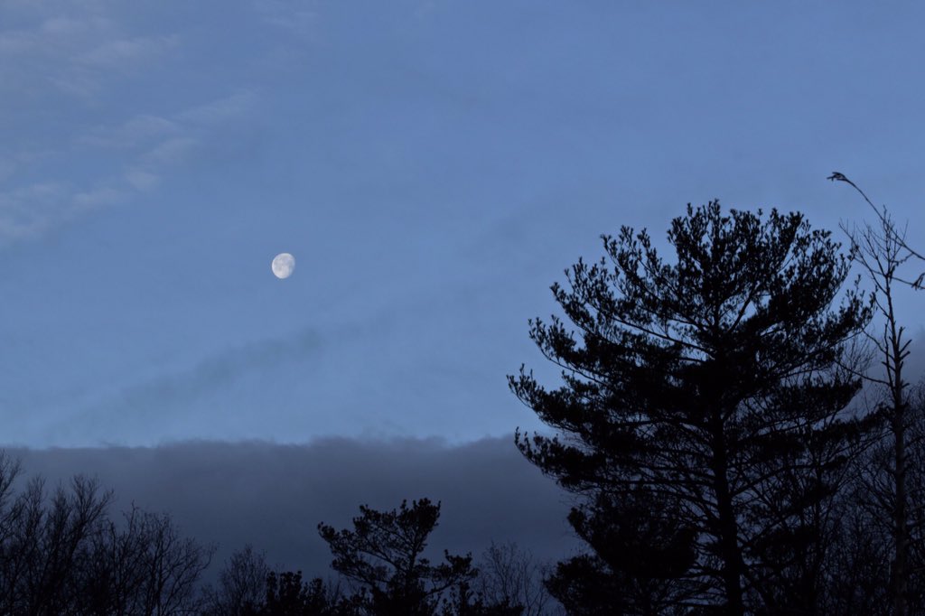 LJV_Productions's tweet photo. Was up before the sunrise today so figured I'd try and get some pictures! #LJVProductions https://t.co/m1fe0KprOn